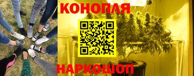 скорость Камень-на-Оби